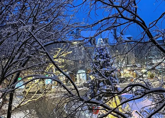 Appartement La Mandarouseraie *