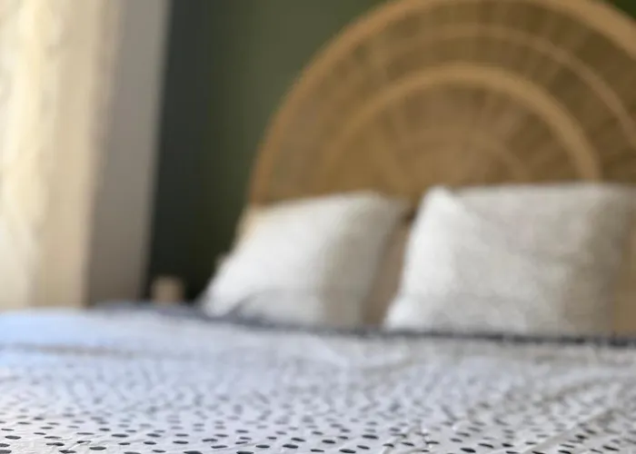 La Mandarouseraie Appartement Millau